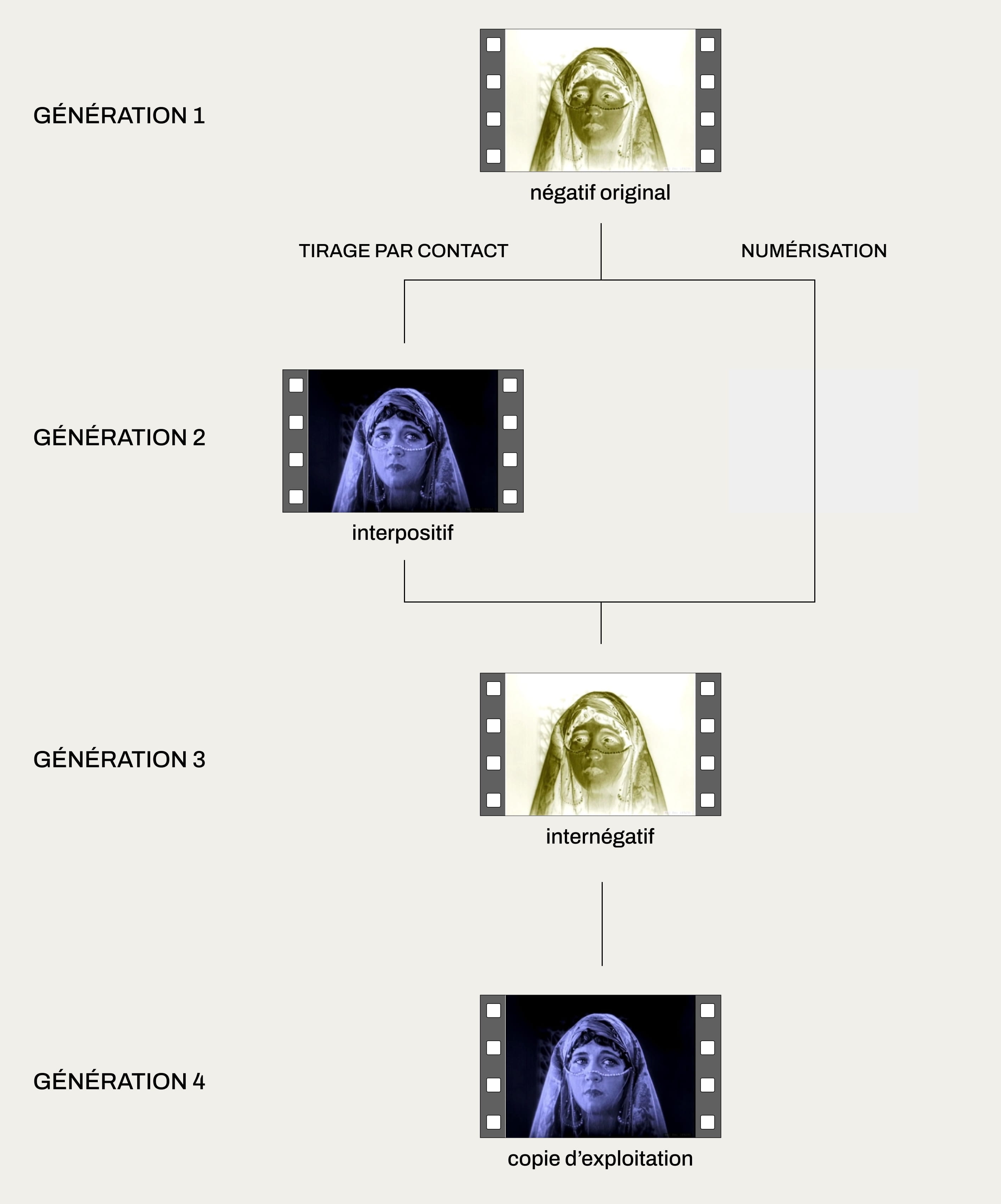 Schéma des différentes générations de films produites à partir du négatif original. null